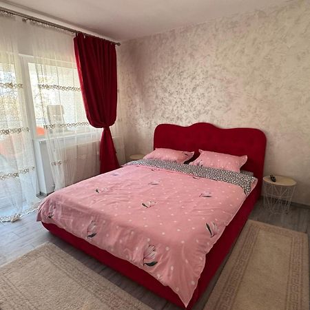 Apartament Cozy Dragasani ภายนอก รูปภาพ