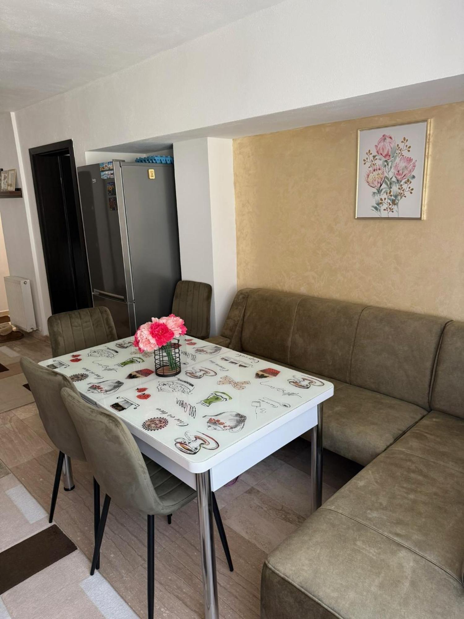Apartament Cozy Dragasani ภายนอก รูปภาพ